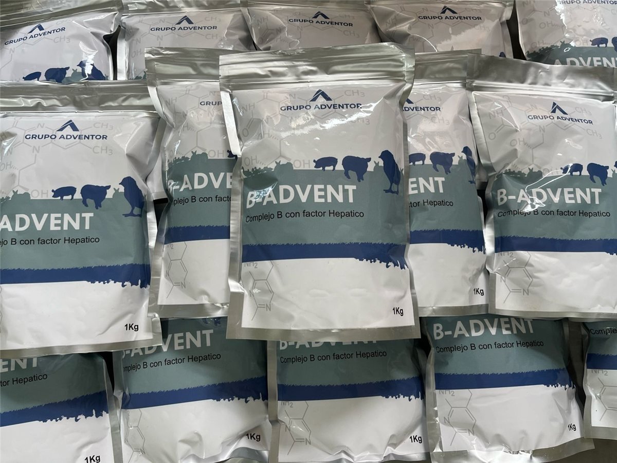 Stock real de bolsas de B-ADVENT de 1 kg de Grupo Adventor