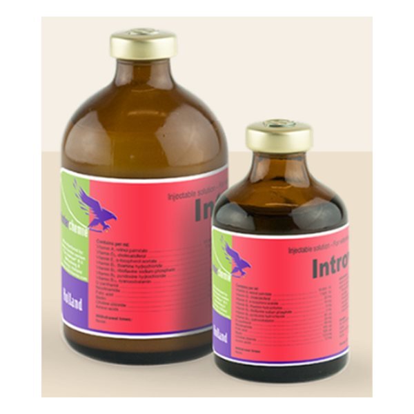 INTROVIT B, producto veterinario